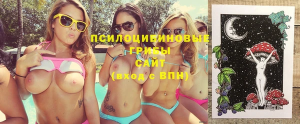 ГАЛЛЮЦИНОГЕННЫЕ ГРИБЫ Вязьма