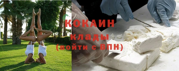 ГАЛЛЮЦИНОГЕННЫЕ ГРИБЫ Вязьма