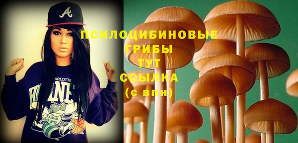 мет Горнозаводск